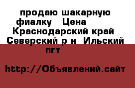 продаю шакарную фиалку › Цена ­ 160 - Краснодарский край, Северский р-н, Ильский пгт  »    